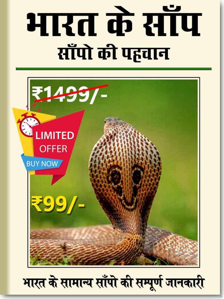 snake Book